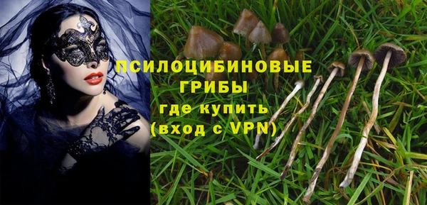 стафф Абинск